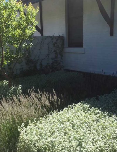 garden services contractors Adelaide Genesis Landscapes