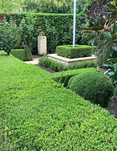 garden services contractors Adelaide Genesis Landscapes