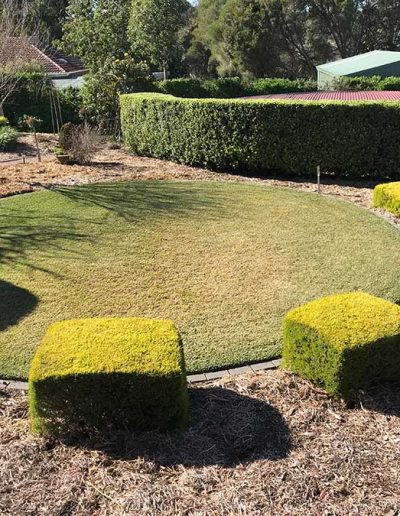 garden services contractors Adelaide Genesis Landscapes