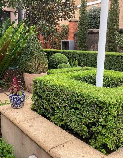 garden services contractors Adelaide Genesis Landscapes