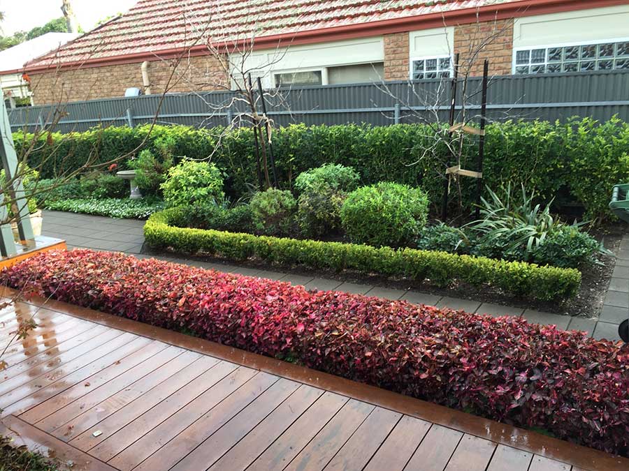 garden services contractors Adelaide Genesis Landscapes