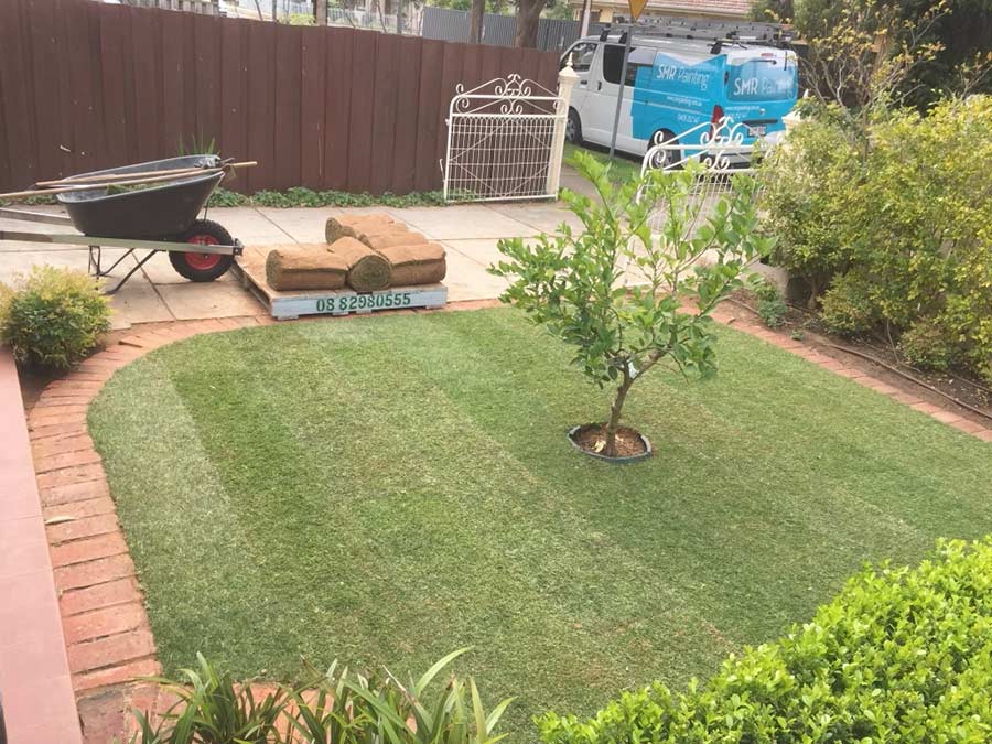 Lawn Installers Adelaide