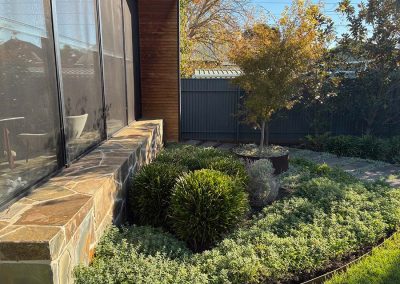 Kingswood planting and garden rejuvenation