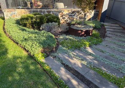 Kingswood planting and garden rejuvenation