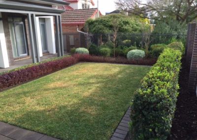 Myrtle Bank planting and garden maintenance