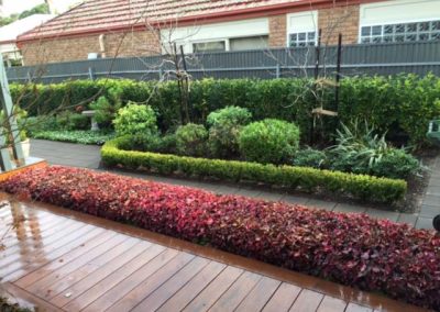 Myrtle Bank planting and garden maintenance