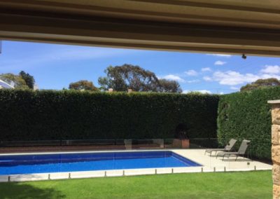 Unley hedge trimming and garden maintenance
